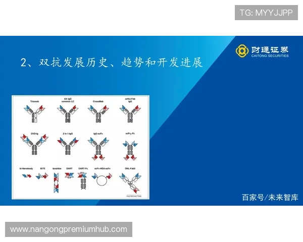 巴黎FC俱乐部身价解析与阵容价值走势及未来潜力评估报告深度全面