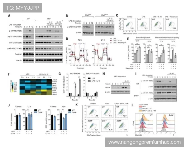 体育动作背后的科学解码与技术优化创新研究 体育动作背后的科学解码与技术优化创新研究